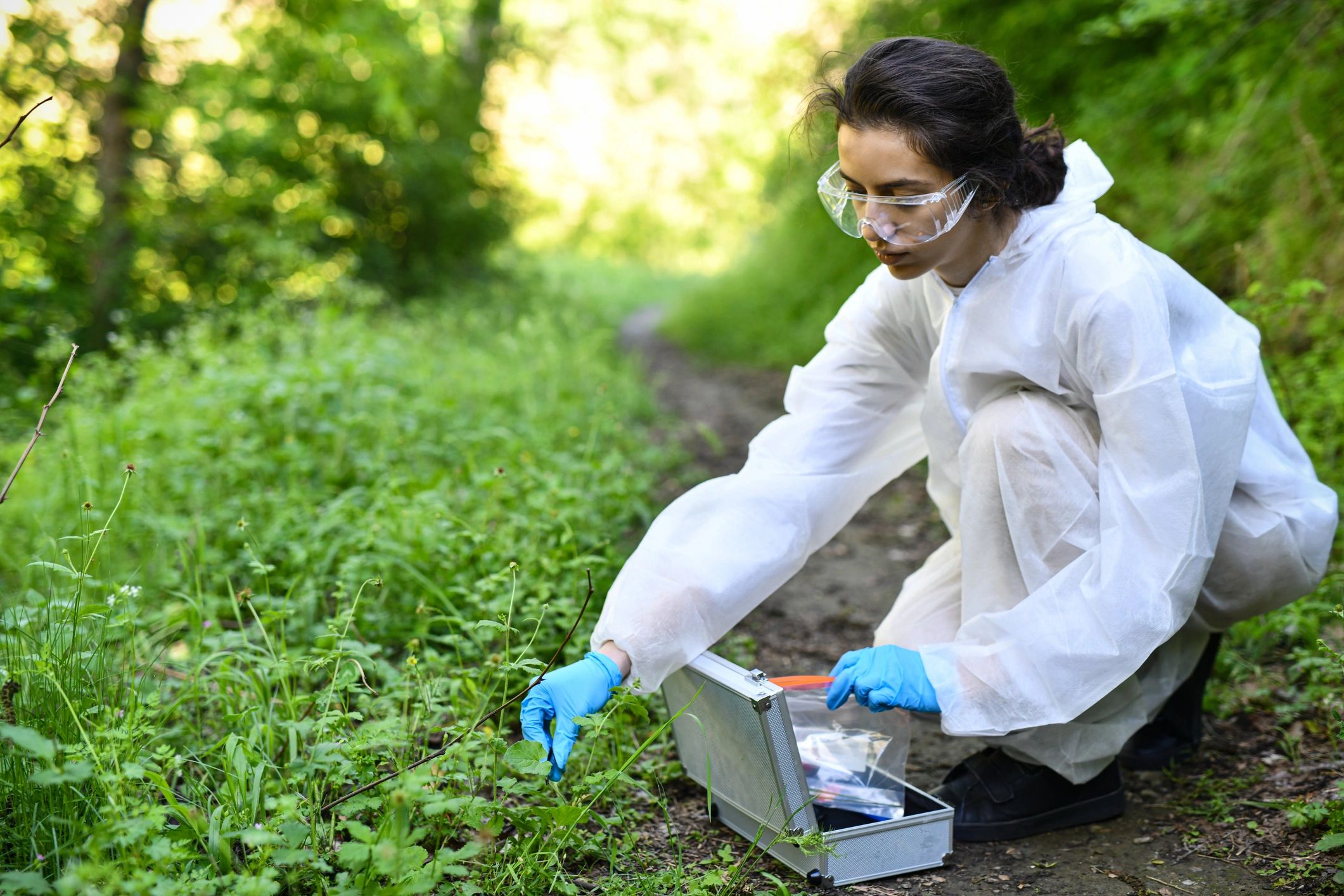 Field scientist collecting environmental samples outdoors